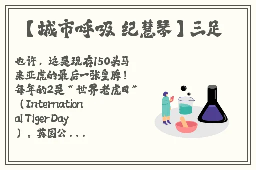 星空无限mv国产剧香凌